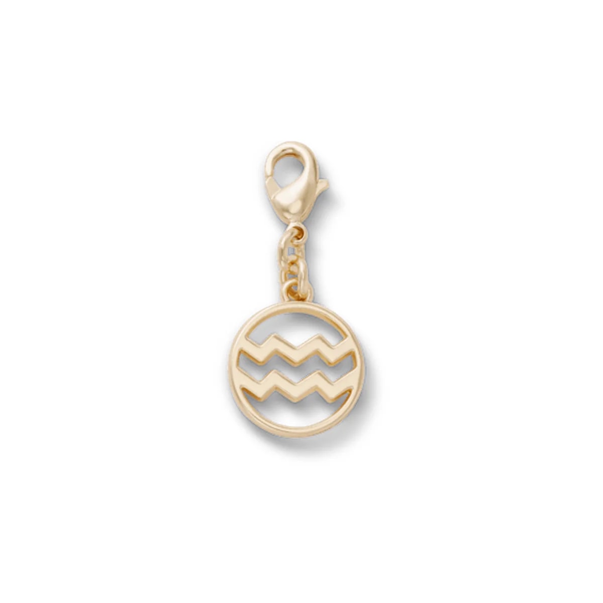 Aquarius Charm