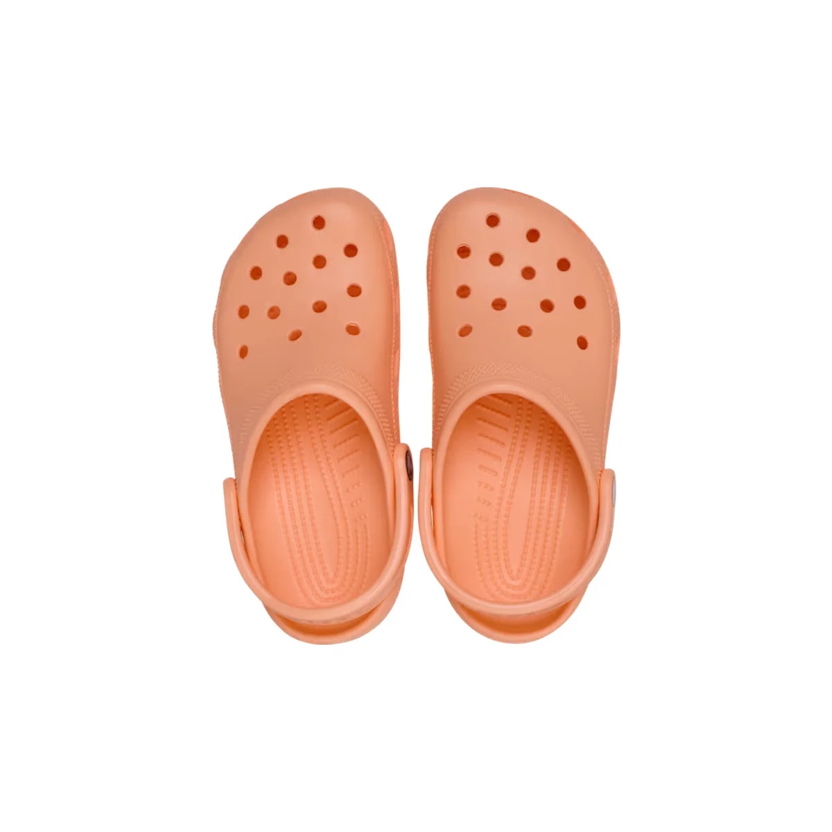 Crocs Classic Clog - Electric Sunstone ALT120