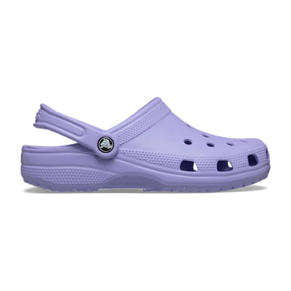 Tiny Darling Daisy - Mystic Purple