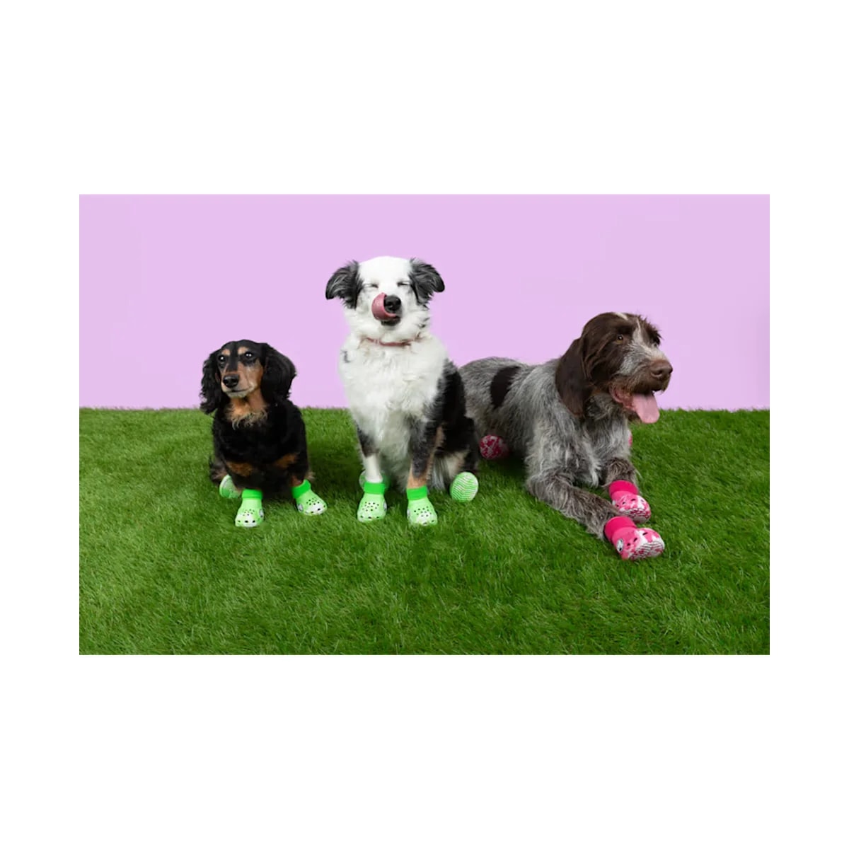 crocs-gallery-color:dragon fruit; color:Dragon Fruit; alt:ALT110; file:211352_6ZQ-ALT110
