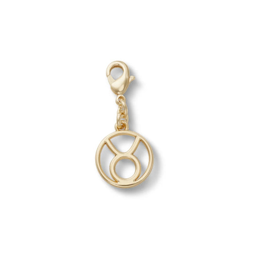 Taurus Charm