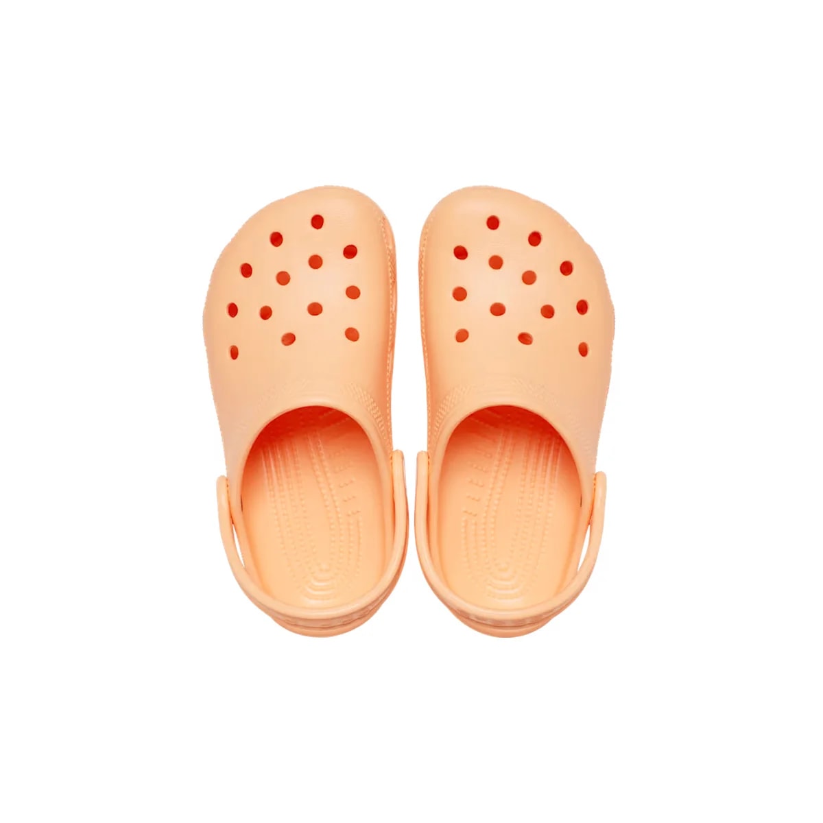 Crocs Toddler Classic Clog - Electric Sunstone ALT120